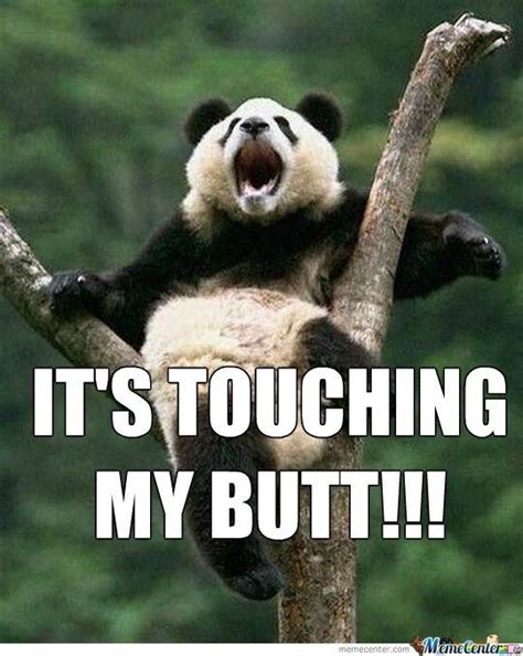 15 Incredibly Funny Panda Memes | Funny panda pictures, Panda funny ...