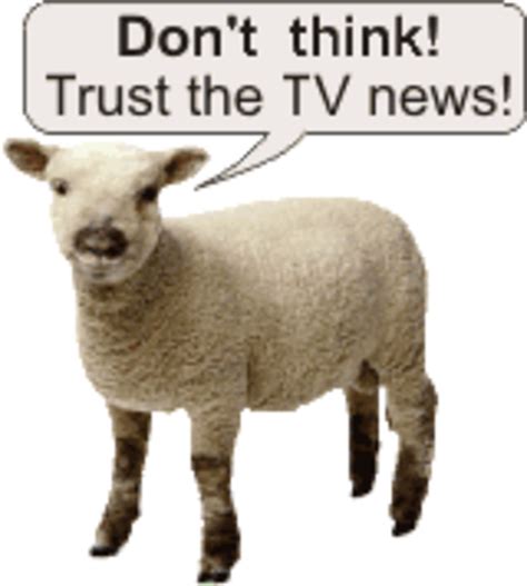 sheep | Sheeple | Know Your Meme