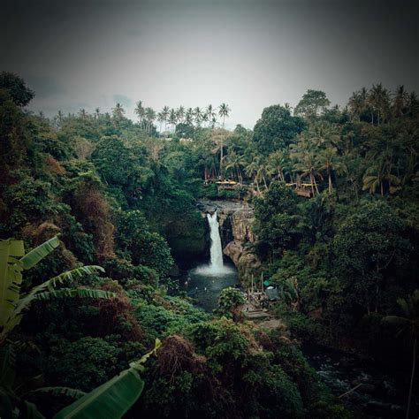 ‎Relaxing Sounds of Amazon Rainforest and Singing Birds - Single by ...