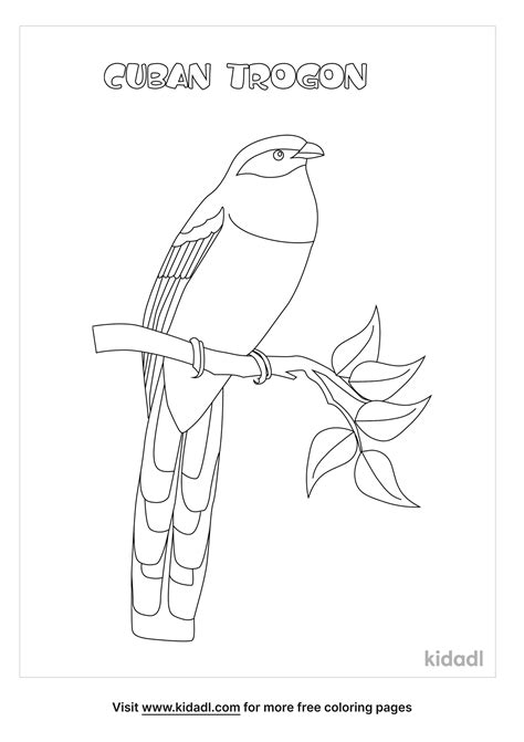 Cuban Trogon Coloring Page. Free Birds Coloring Page - Coloring Home