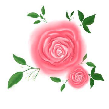 Dahlia Watercolor White Transparent, Rose And Dahlia Watercolor Flower Arrangement For ...