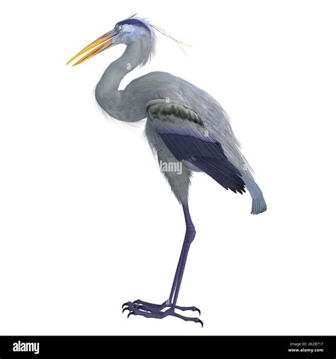 The Bennu Heron is an extinct bird that is depicted as a deity and icon ...