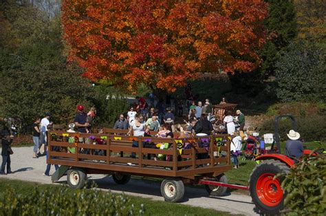 Fall Forest Fest at Holden Arboretum, The Holden Arboretum / Cleveland Botanical Garden at ...