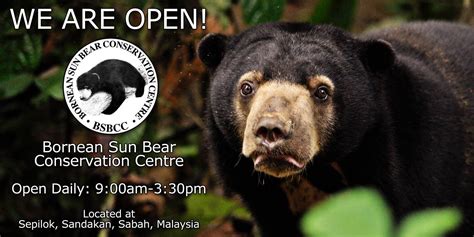 Malaysia's Sun Bear Rescue Center Opens to Public on January 17 ...