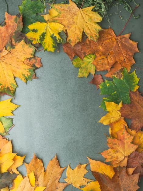 Premium Photo | Autumn falling maple leaves isolated on grey background