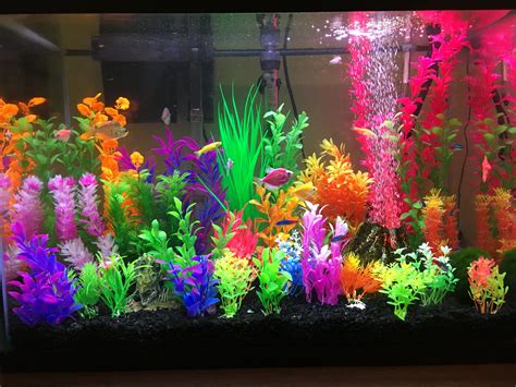 Awesome Neon Fish Tank Ideas 2024 - clowncoloringpages