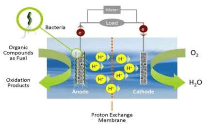 Process of bioelectricity generation in MFC | Download Scientific Diagram