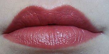 Sugarpot Beauty: Lip Swatch! - Wet n Wild Megalast Matte Lipstick ...