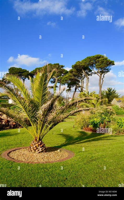 Queen mary gardens hi-res stock photography and images - Alamy