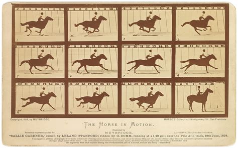 Ο καλπασμός του Αλόγου – Eadweard Muybridge 1878 | Φωτογραφία