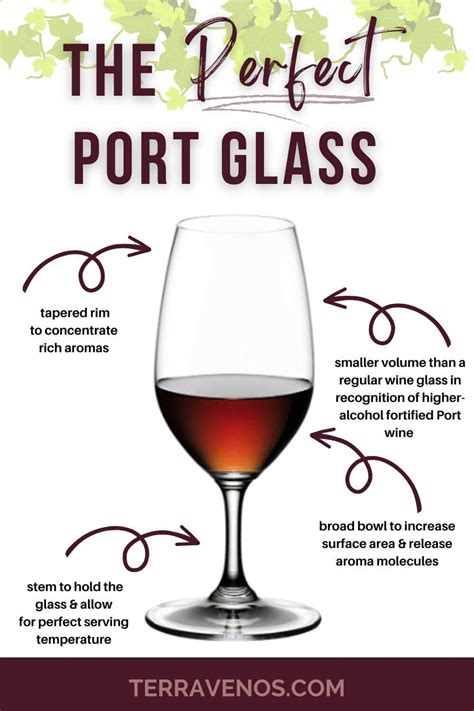 Port Wine Glasses: What You Need to Know — tèr·ra·ve·nos