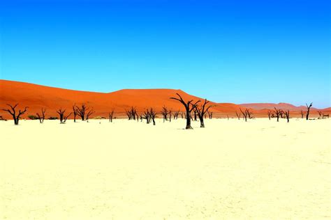 Visit the Sossusvlei Sand Dunes in Namibia -2023 Guide - STINGY NOMADS