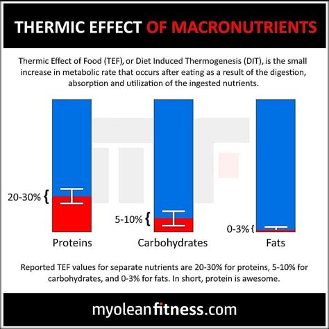 The Thermic Effect of Food (TEF), also known as Diet Induced Thermogenesis (DIT), is the small ...