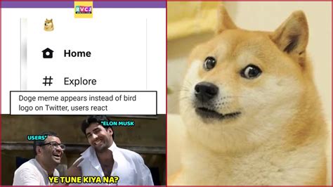 Twitter logo changed to Doge icon sparks meme fest, Twitterati says "Ye ...