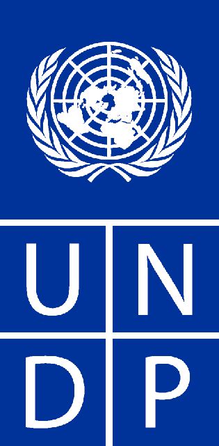 UNDP_Logo.preview - Future Considerations