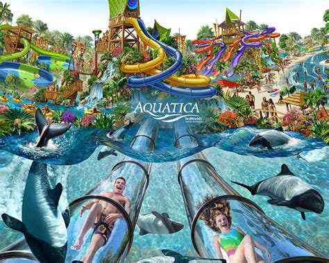 Aquatica Orlando - Magical DIStractions