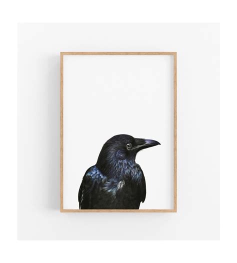 Bird Prints Crow Art Black Bird Wall Decor Wildlife Print - Etsy