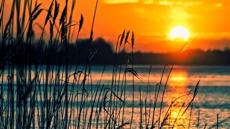 Crops Sunset Lake Wallpaper,HD Nature Wallpapers,4k Wallpapers,Images ...