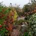 Garden Fancy: Garden Visit: Larry Rettig's Historic South Amana Gardens