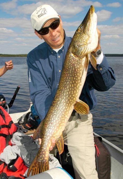 Follow these fishing tips to catch more big northern pike in the spring ...