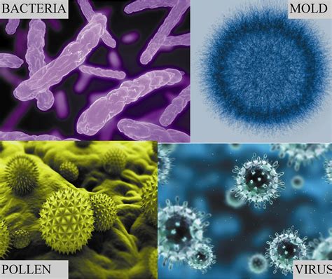 Biological Contaminants in Indoor Air Quality: Allergens, Bacteria ...