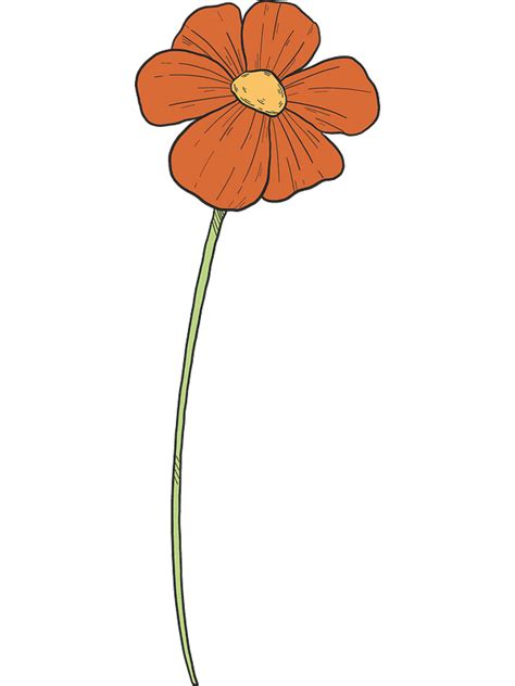 Poppy Flower Clipart Image - ClipartLib