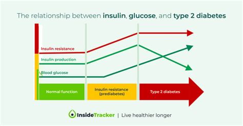 Understanding Fasting Insulin Blood Test Results