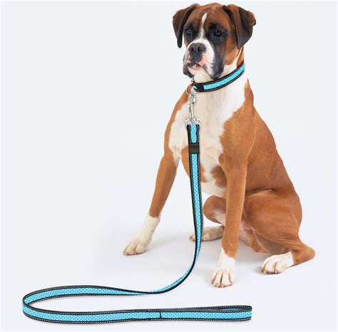 Dog leash - Amazing Products