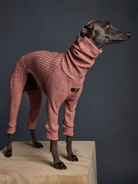 Italian Greyhound Clothes and Accessories. | Italian greyhound clothes ...