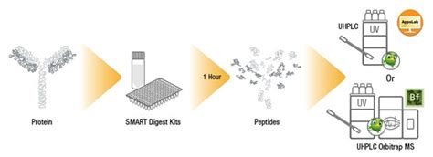 Peptide Mapping | Thermo Fisher Scientific - US