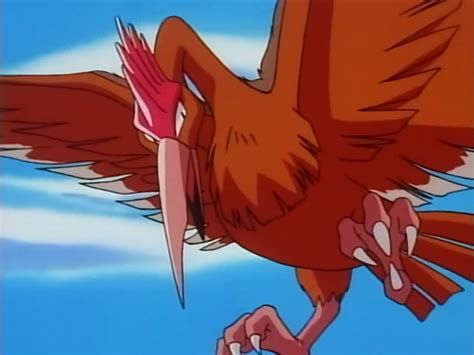 Fearow (anime) | Pokémon Wiki | Fandom