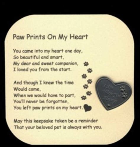 Pawprints on My Heart Card & Token Set - Etsy | Pet sympathy, Pet ...