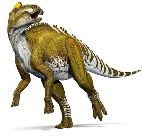 Edmontosaurus | Prehistoric animals, Prehistoric creatures, Dinosaur ...