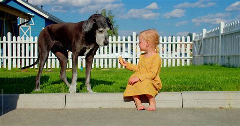 "Girl Sharing Ice Cream With Dog" by Stocksy Contributor "Danil Nevsky" - Stocksy