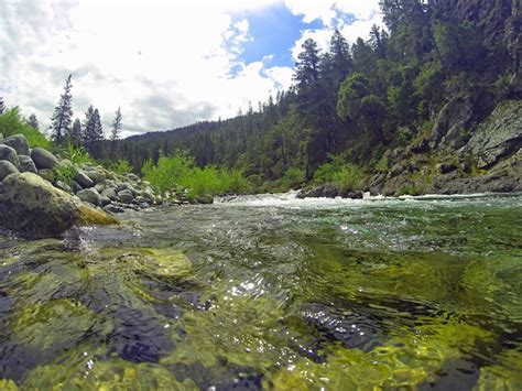 September Fishing Report North Fork Yuba River – NorthYubaGuide