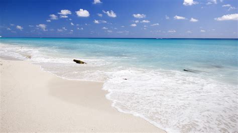 Playa Delfines | Cancún, Mexico | Sights - Lonely Planet