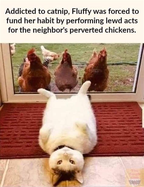 Addicted to catnip, Fluffy was forced to fund her habit by performing lewd acts for the neighbor ...