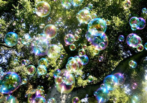 File:Soap bubbles-jurvetson.jpg