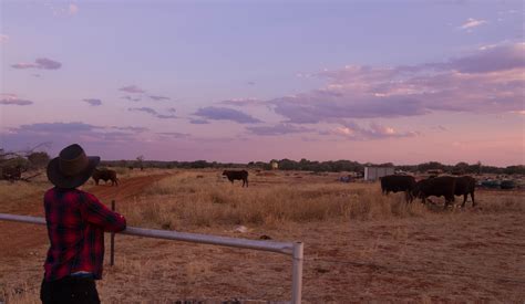 Cattle station life in central Australia – My heart of wanderlust