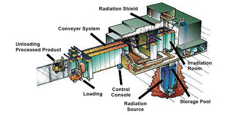 Irradiation: Expanding seafood’s safety arsenal - Responsible Seafood Advocate