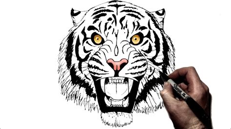 White Tiger Roaring Face