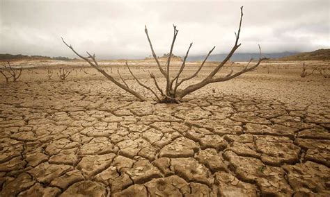 Drought - India Will Face Major Drought This Year, Says UN