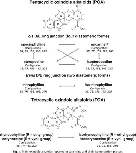 Figure 1 from Genotoxicity and cytotoxicity of oxindole alkaloids from ...