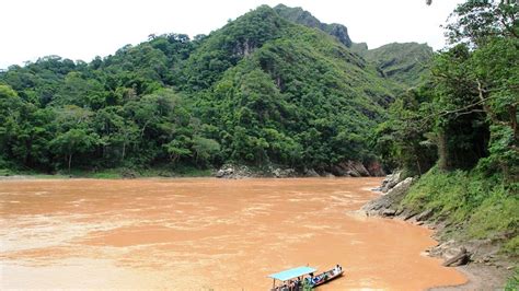 Madidi National Park, Bolivia ~ Must See how To?