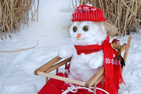 Snowman in sled stock image. Image of frigid, outdoors - 23103895