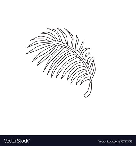 One single line drawing tropical coconut leaf Vector Image