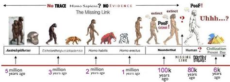 THEORY | Human evolution, History timeline, Evolution