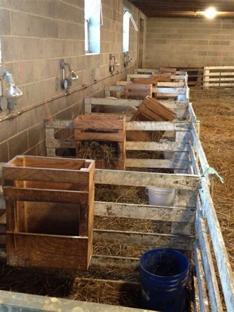 20Pallet Goat Shelter | Goat shelter, Goat farming, Goat barn