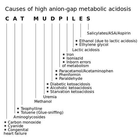 Cat mudpiles - causes of high anion-gap metabolic acidosis - High anion ...