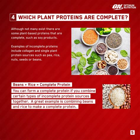 Complete Protein Optimum Nutrition | Besto Blog